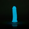 Clone-A-Willy Silicone Dildo Blue Glow In the Dark